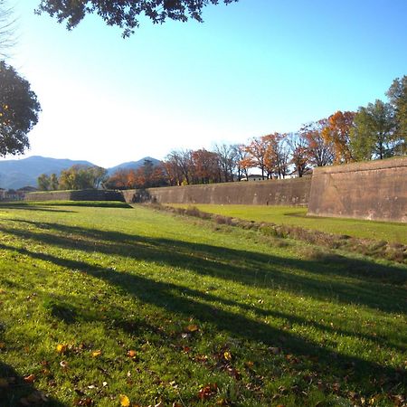Appartamento Via Grandi - Free Gated Parking - 5 Minutes From Center Lucca Buitenkant foto